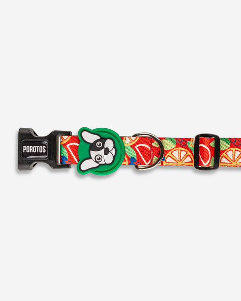 Collar con Moño Frutal